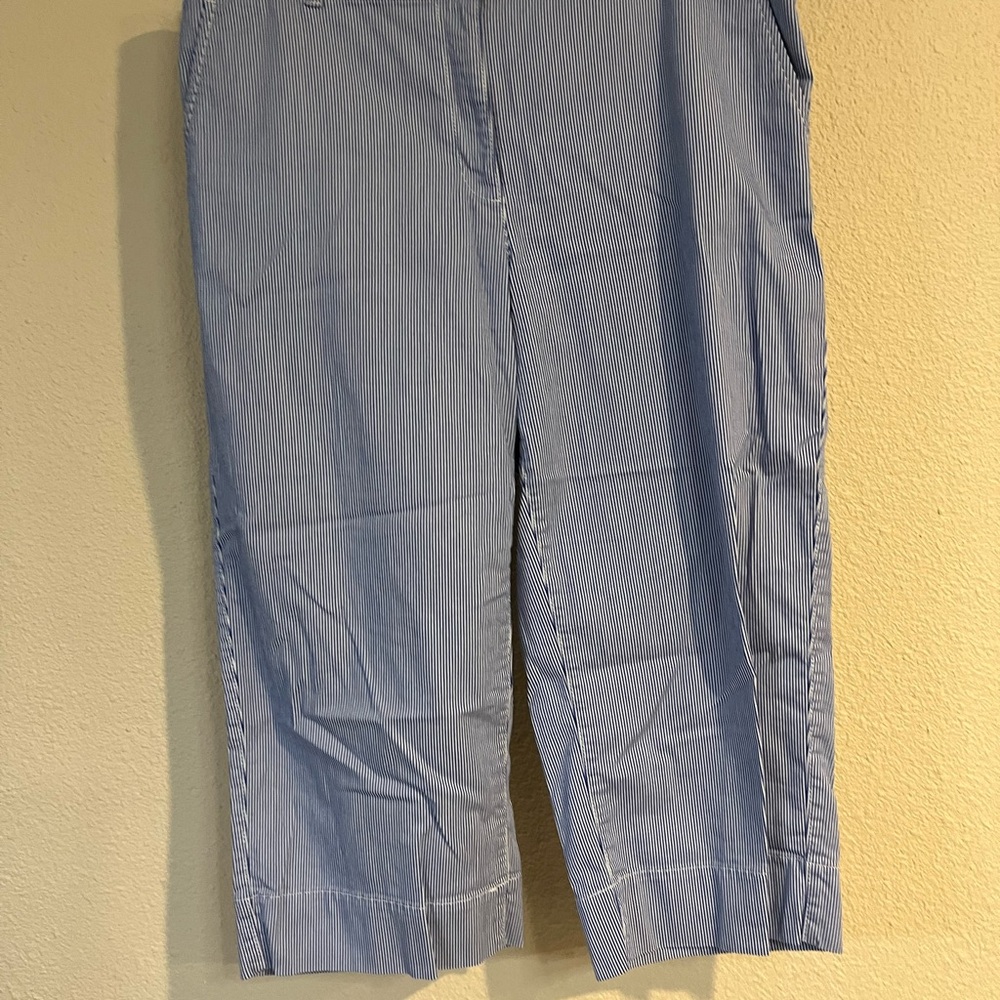 Talbots Blue Striped Cotton Wide Cropped Pants